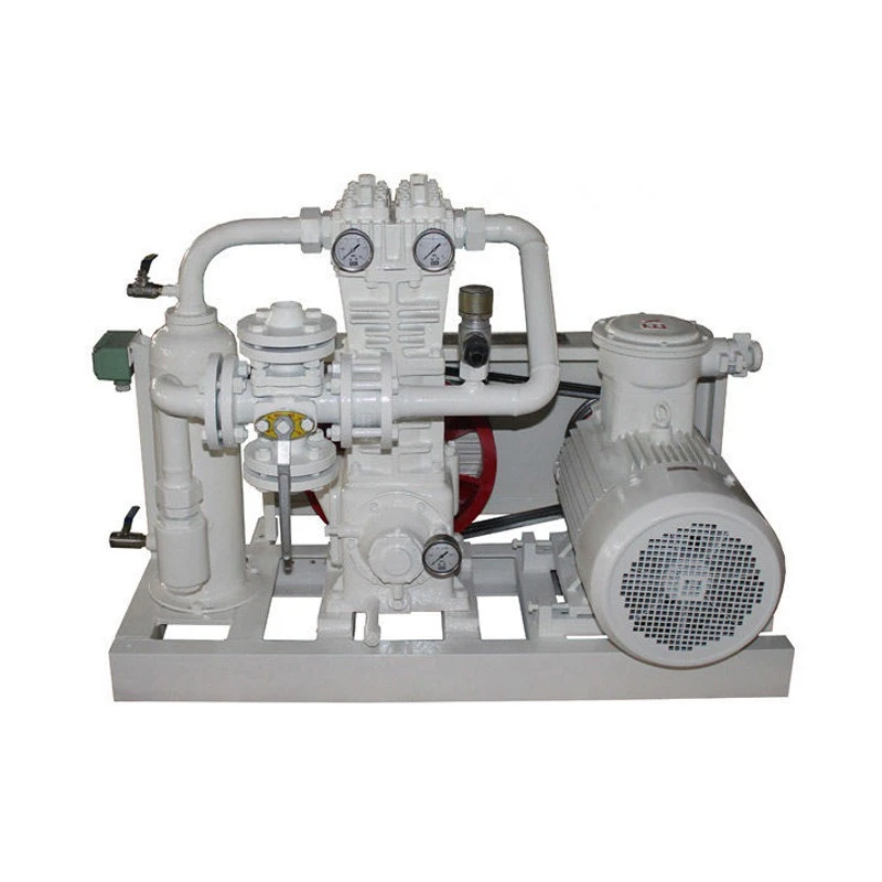 Ammonia Compressor factory